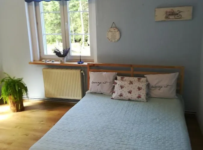 Lesna Polana Apartment