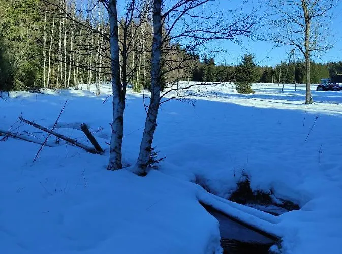 Apartment Lesna Polana Lasowka