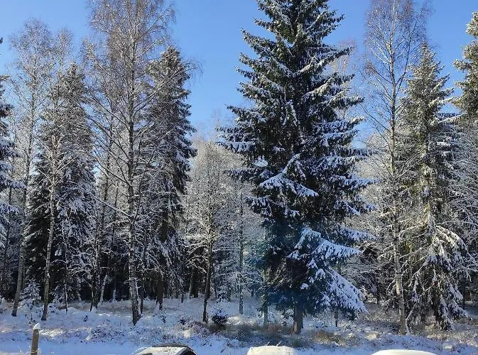 Lesna Polana Apartment *