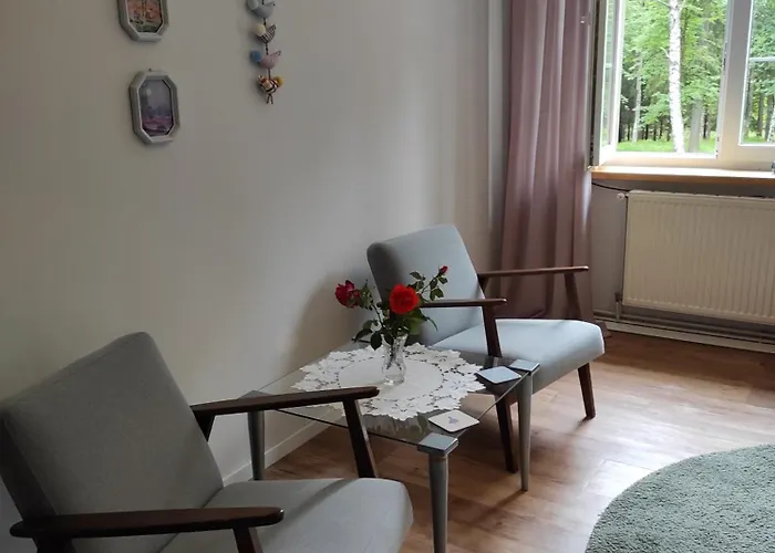 Apartment Lesna Polana Lasowka